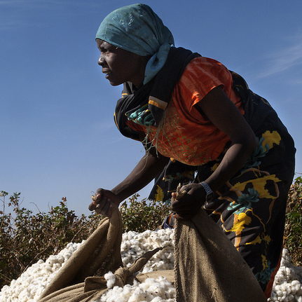 A farmer waters her crops